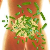 Significant Relationship Between Gut Microbiome and Malaria 