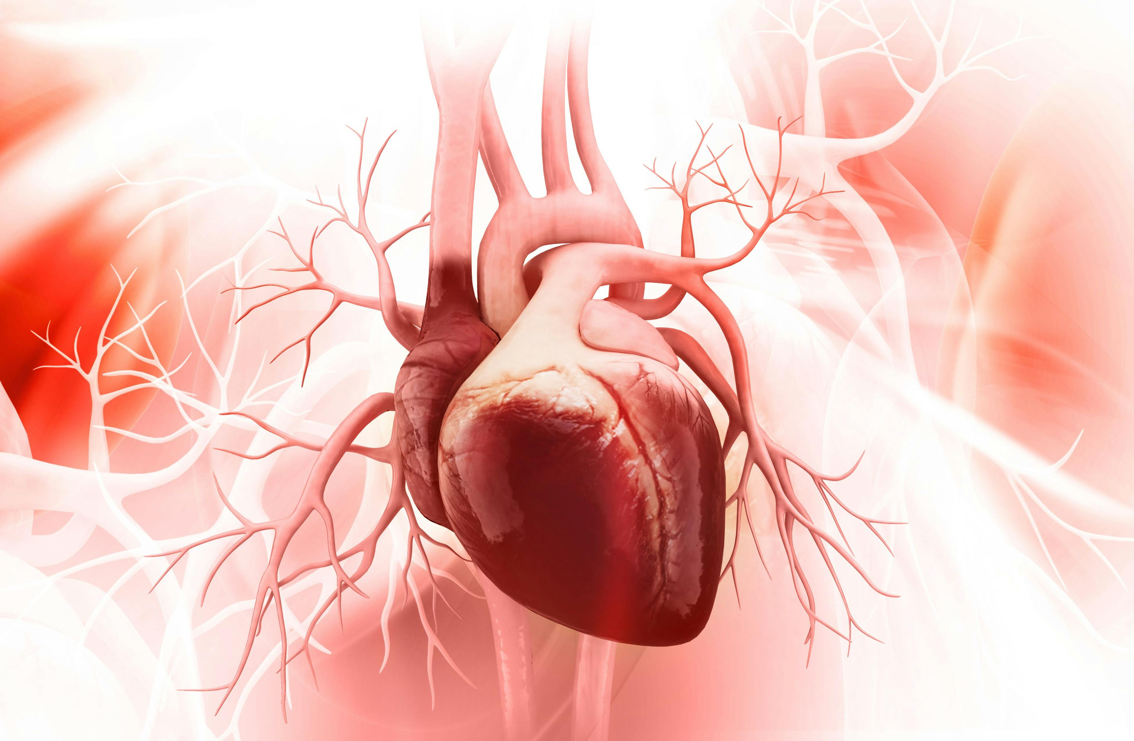 Digital illustration of a heart and vascular system. 