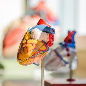 Empagliflozin Linked to Risk Reduction of Heart Failure with Preserved Ejection Fraction