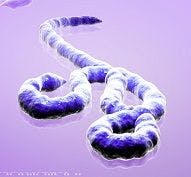 Ebola: Quarantined Nurse Leaves NJ