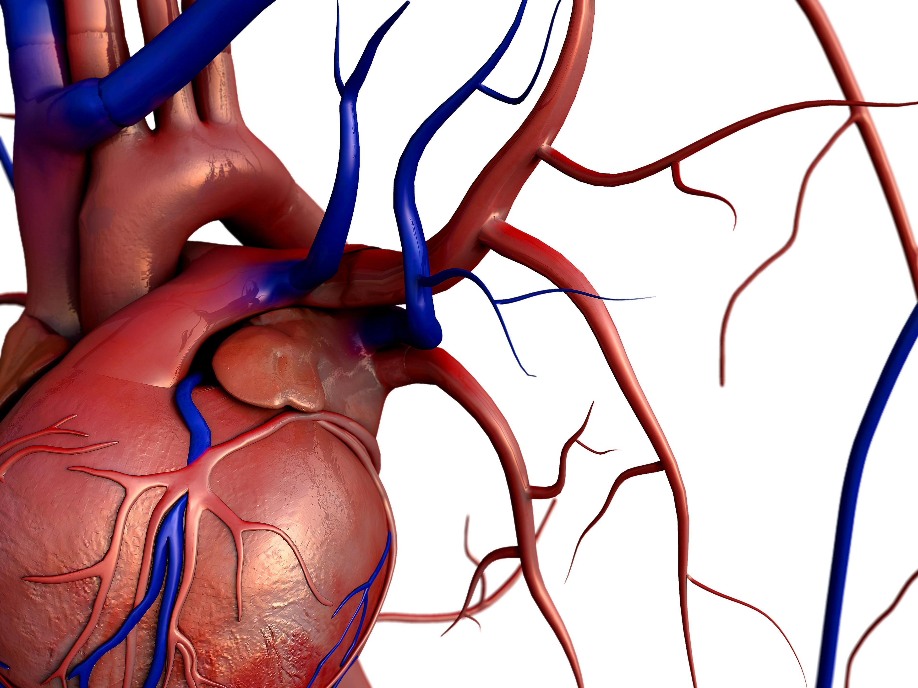 STS/AATS Release New Guidelines for Type B Aortic Dissection