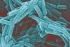 Increase in Oral Bacteria Leads to Higher Risk of Heart Problems
