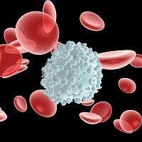 White Blood Cells Have Role in Rheumatoid Arthritis