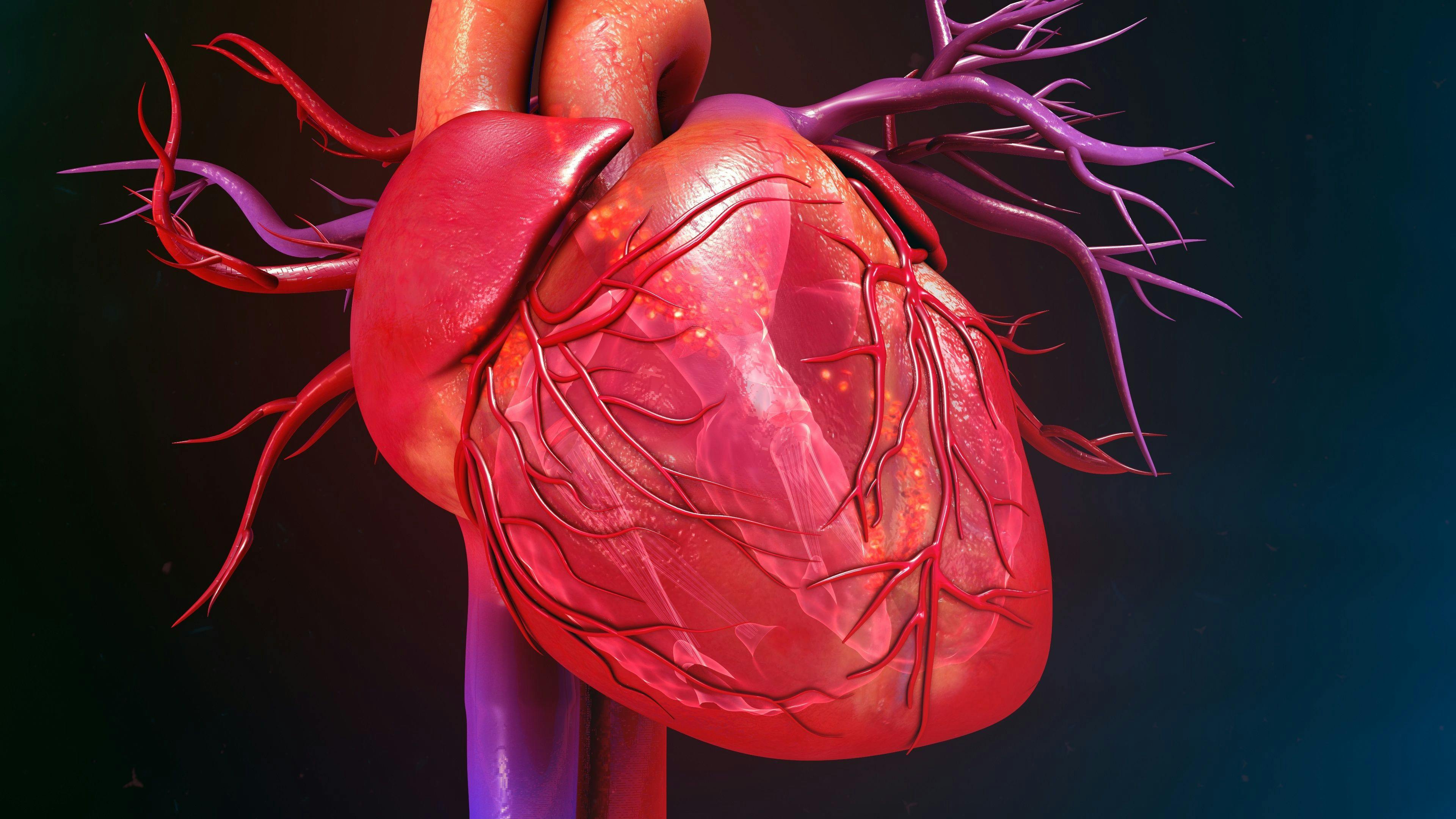 Digital illustration of a heart