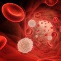 Epoetin Alfa Biosimilar Increases Hemoglobin Levels in Anemic Patients Undergoing Chemotherapy for a Lymphoid Malignancy