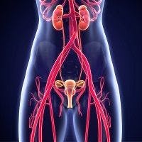 Preventing Catheter-Associated Urinary Tract Infection