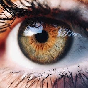 Less Visual Impairment From AMD Found in Population Study