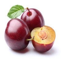 Fruitful Study: Compound in Plums Inhibits Hepatitis C Virus Entry