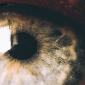 Adverse Event Data Mining Finds Few Ocular Side Effects From PCSK9 Inhibitors