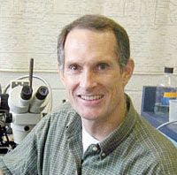 Bruce R. Stevens, PhD