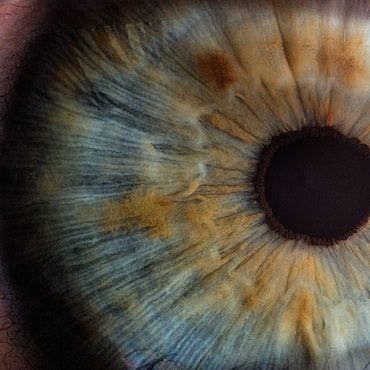 Close up of eyeball | Credit: Unsplash