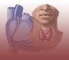 Thyroid Function Linked with Pediatric Obesity