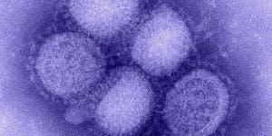 MRSA Increased Death Toll of Healthy Children with H1N1 Flu in 2009