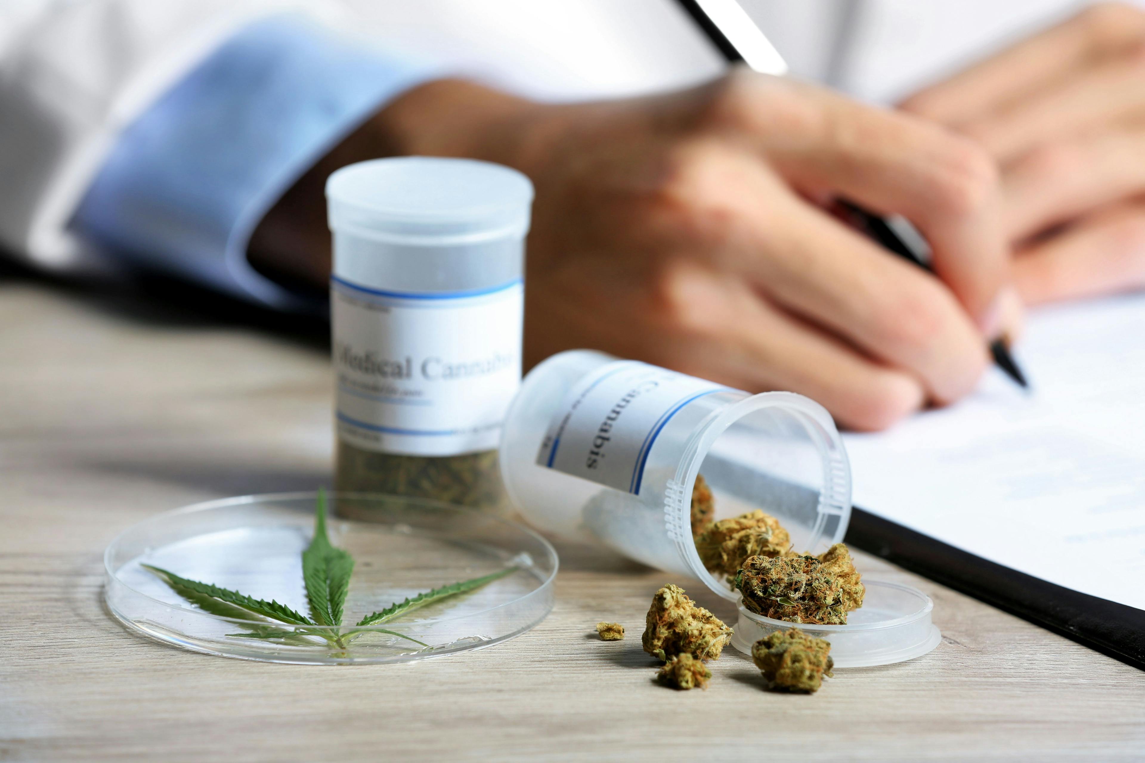 What’s a rheumatologist to do in the absence of clinical guidelines for cannabis?