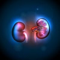 Plant based diet linked to reduced risk of chronic kidney disease, slowing the decline of kidney function 