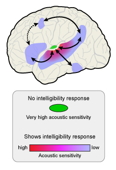 More on Intelligibility