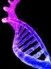Spinal Arthritis and Crohn's Disease Share Genetic Links