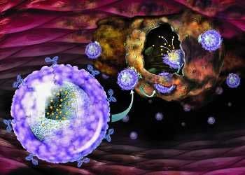 Nanoparticle “Smart Bomb” Targets Drug Delivery to Cancer Cells