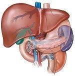 Non-Alcoholic Fatty Liver Disease Explains Chronic-Liver-Disease-Related Mortality