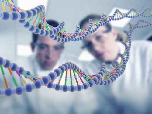 Novel Genetic Score Could Reduce Unnecessary Fracture Risk Screenings