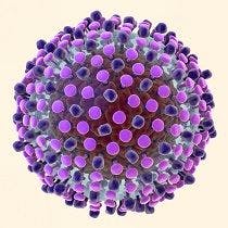 New Therapies, Off-the-Wall Hypotheticals Swirl in Shifting Hepatitis C Landscape