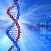 DNA Changes Distinguish Patients with Rheumatoid Arthritis