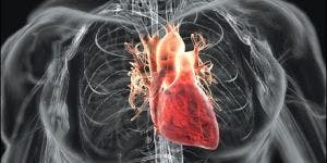 Skeletons in the Closet of Cardiovascular Disease 