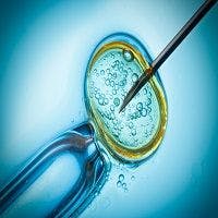 IVF, Assisted Reproduction Techiques Linked to Increased Gestational Diabetes