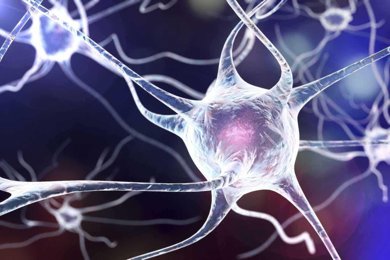 Molecular Link Between Aging and Rare Neurodegenerative Diseases Identified