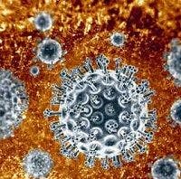 Hepatitis C Damage Doesn't Stop at the Liver, Renal Failure Risk Seen