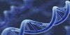 New Type 1 Diabetes Genetic Associations Discovered