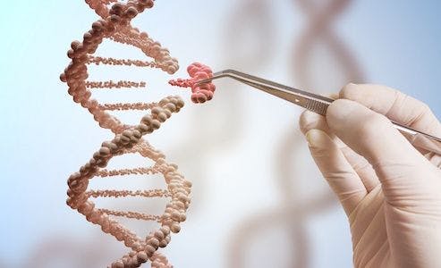 Targeting DNA Repair Protein Could Treat Friedreich's Ataxia