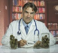 Medical Marijuana: Analysis Says Not Effective for Pain, Doctor Says Prescribe Anyway