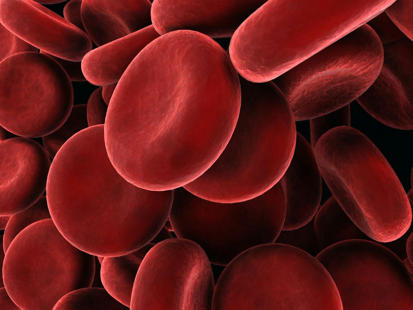Digital illustration of blood cells.