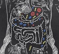 Spinal Injuries Impact Gut Microbiome