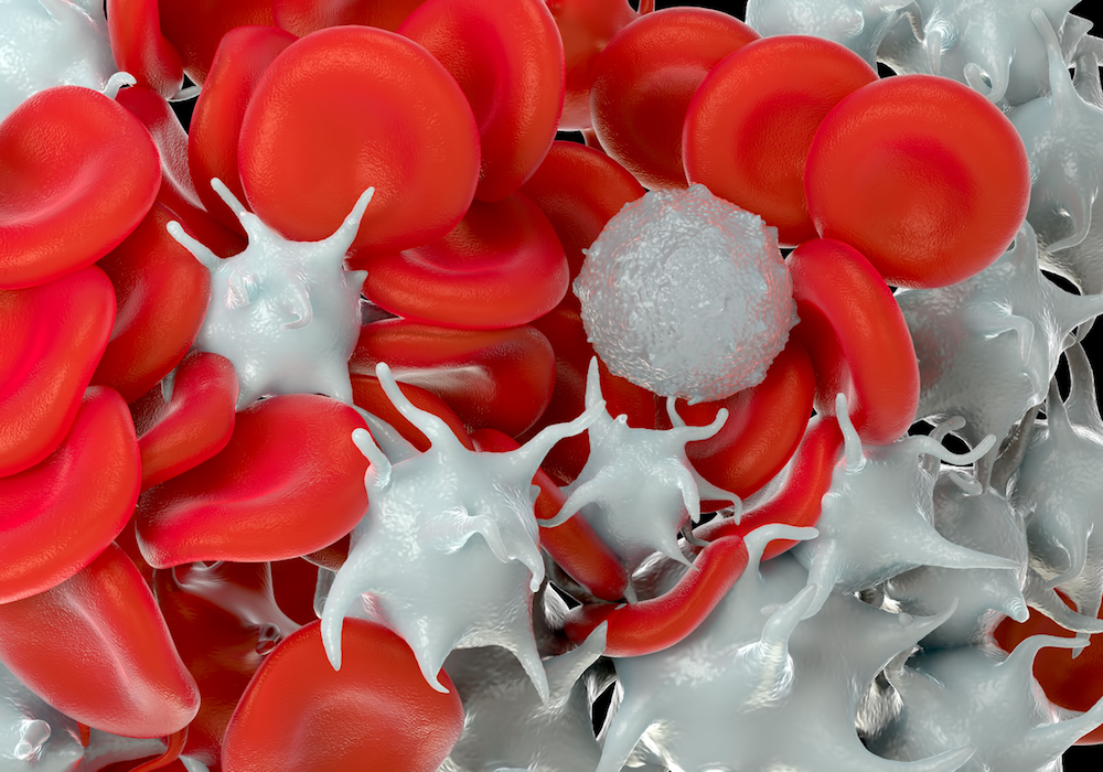 Platelet Count Influences Thrombopoietin Metabolism
