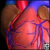 Secondary Prevention of Coronary Artery Disease