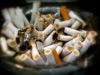 Smoking Combined with Genetics Linked to Rheumatoid Arthritis