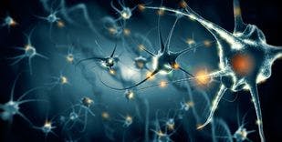 Targeting Multiple Pathological Proteins May Be Key to Treating Neurodegenerative Diseases