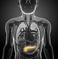 Examining the Link Between Diabetes and Exocrine Pancreatic Insufficiency