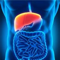 Chronic Liver Disease Expenses Cost Nearly $20,000 Per Year