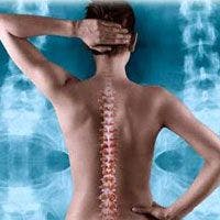 Racial Factors Contribute to Post-Spinal Cord Injury Care 