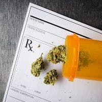 Medical Marijuana Reduces Opioid Use for Chronic Pain