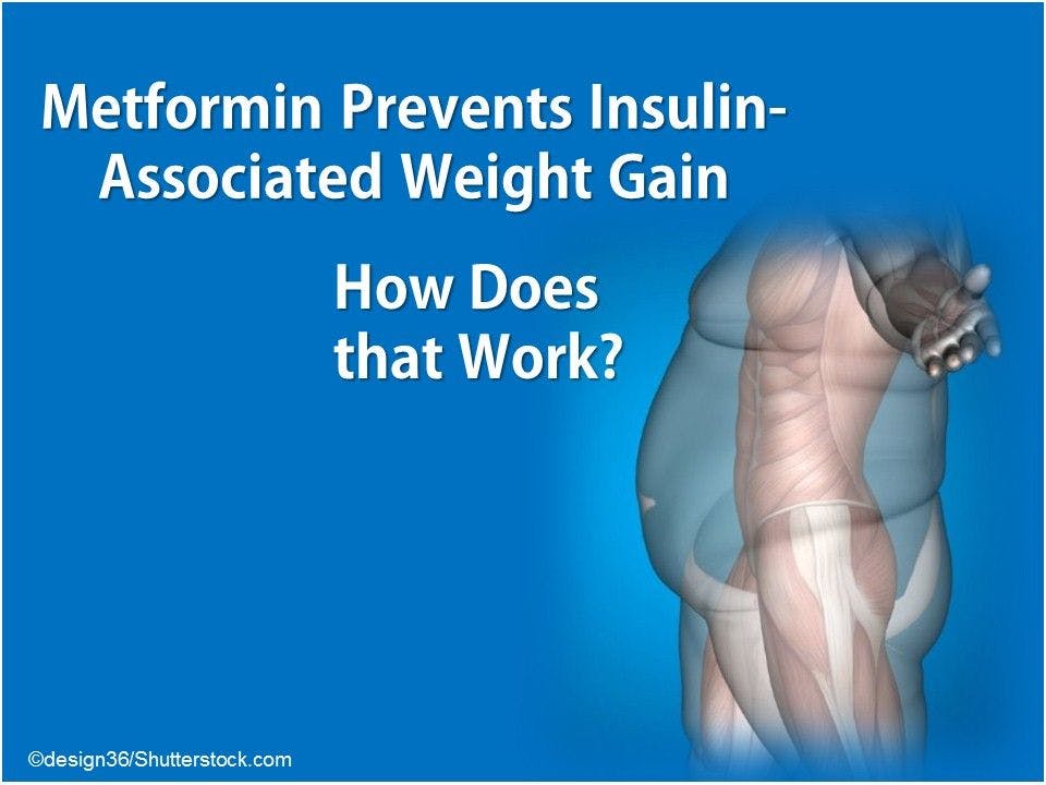 How Does Metformin Prevent Insulin-associated Weight Gain? 
