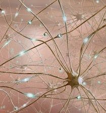 New Compound Could Pave the Way to Neuropathic Pain Prevention