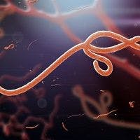 Inhalable Vaccine Protects Primates Against Ebola