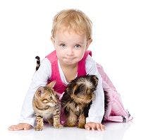 Pet Exposure in Early Life Reduces Risk of Schizophrenia, Bipolar Disorder