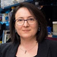 Katerina Akassoglou, Professor of Neurology at the University of California