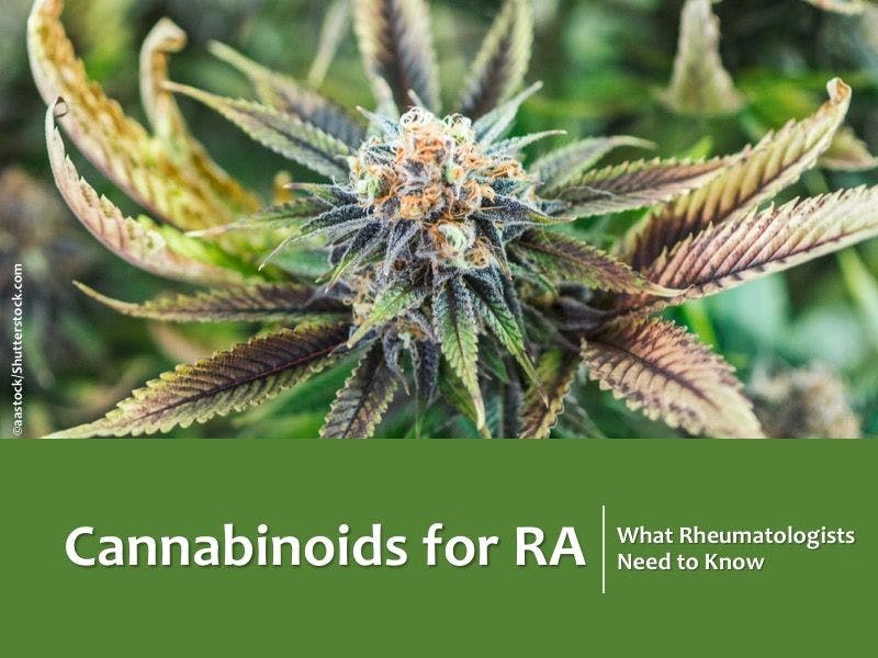 Cannabinoids for RA: What Rheumatologists Need to Know
