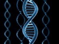 Single Gene Holds Key to Early-Onset Gout Risk
